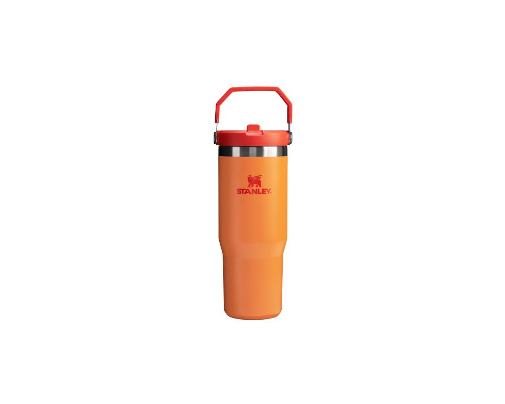 Stanley IceFlow Straw Tumbler 30 oz